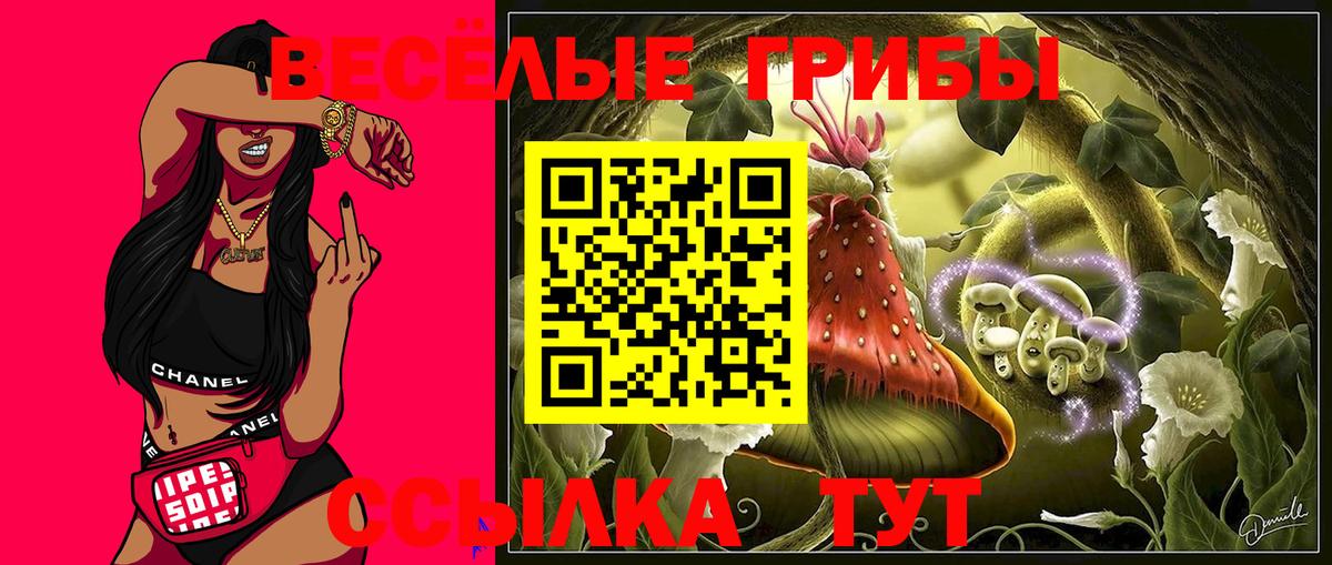 Новоуральск  Галлюциногенные грибы мухоморы  Вход с VPN 